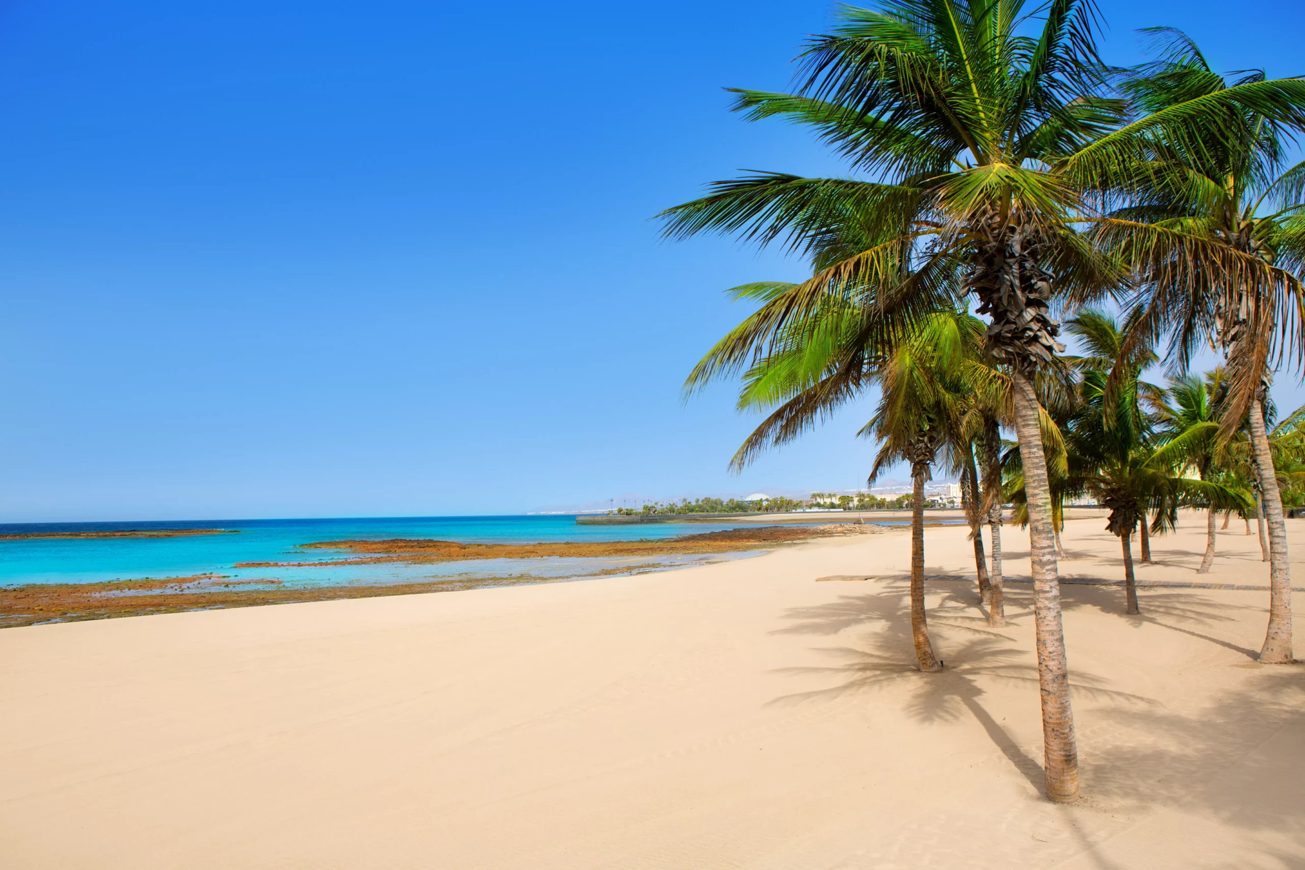 lanzarote beach