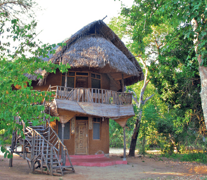 tansaania lodge