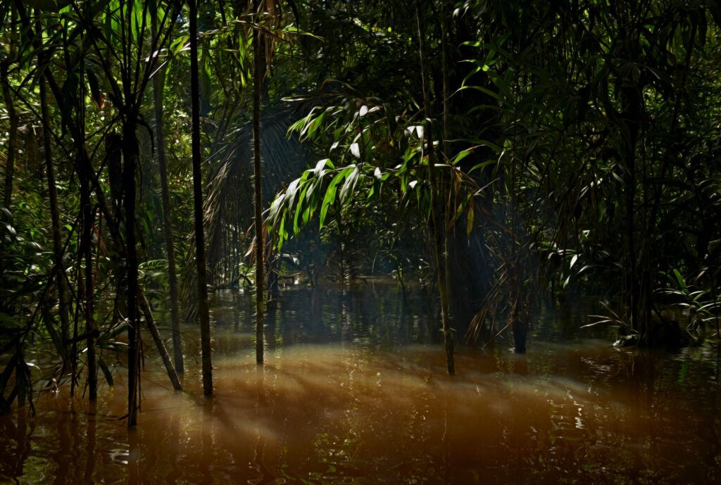 Reisilainele Estraveliga: Amazonas Reisid